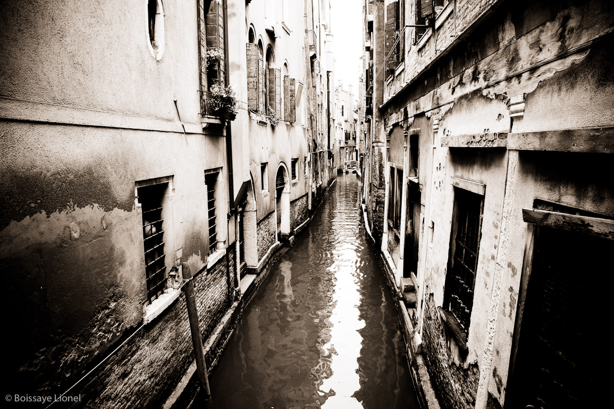 VENISE