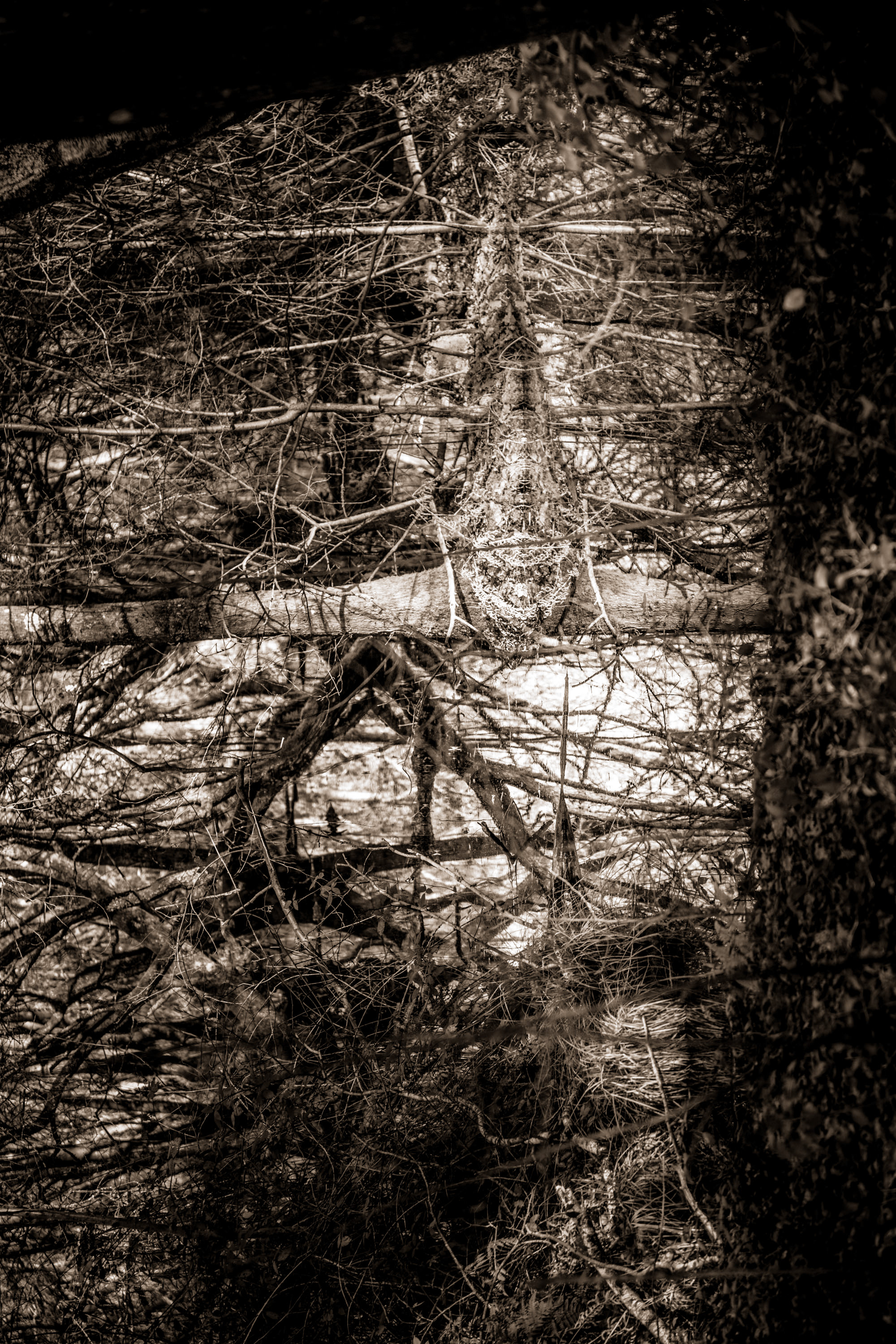 006 web  MG 7334